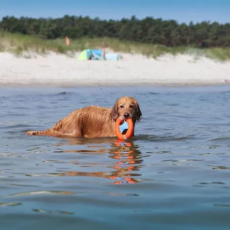 Beachkeeper Comfortable * Ostseeheilbad Zingst