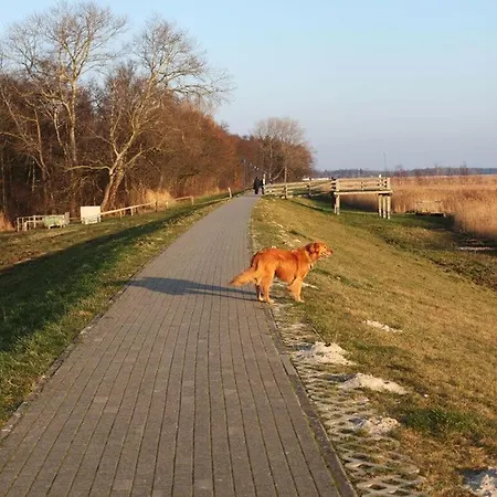 Beachkeeper Comfortable Ostseeheilbad Zingst